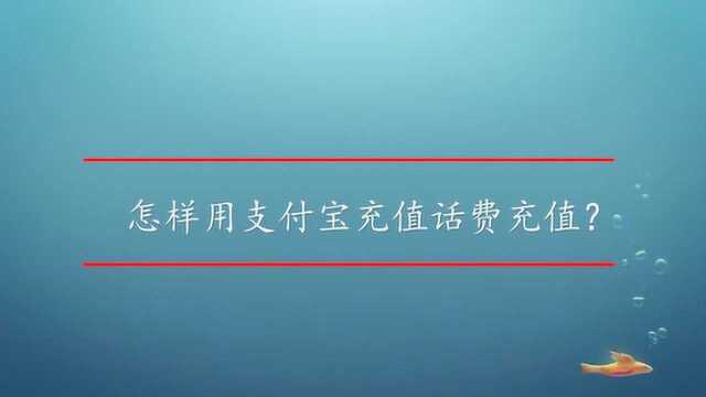 怎样用支付宝充值话费充值?