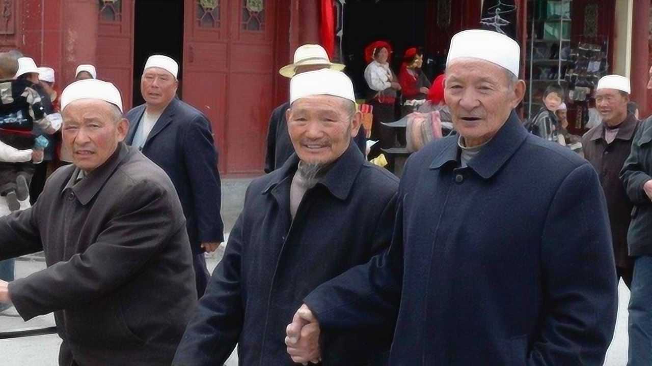 回族人为什么不吃猪肉?看看回族大叔怎么说,原来我们都被骗了_高清1080P在线观看平台_腾讯视频