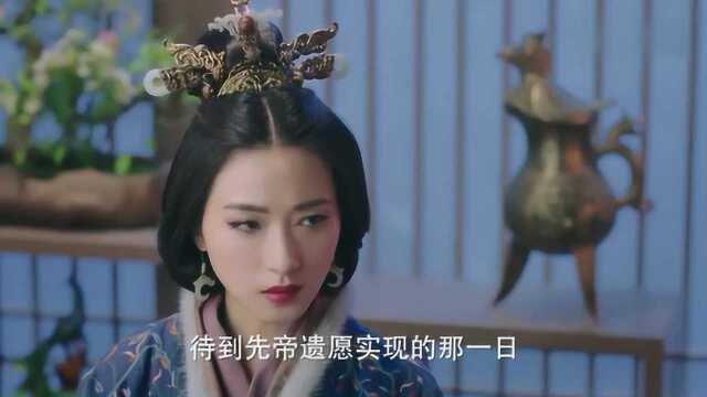 【三国机密】先帝创业未半而中道崩殂