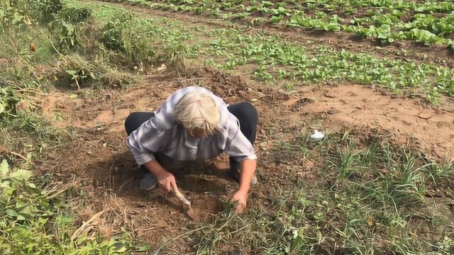 农历十月初一是什么日子?到底有哪些讲究?听71岁的农村大娘咋说