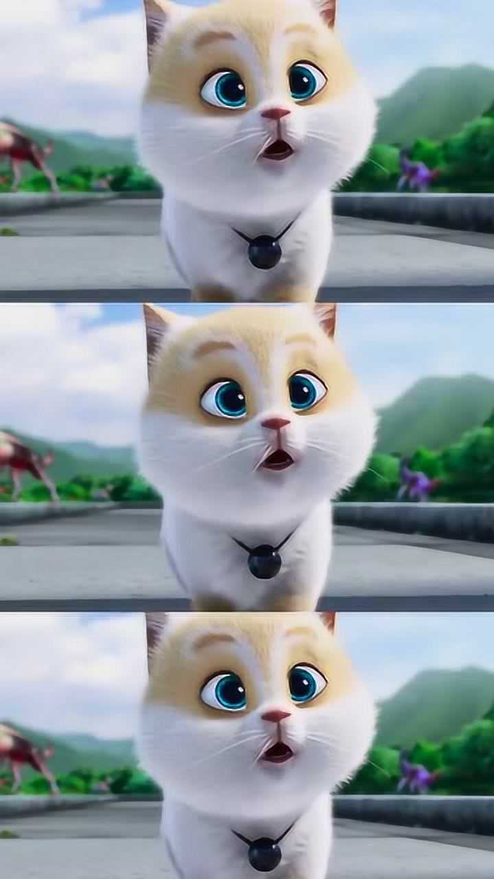 猫与桃花源为了找妈妈去桃花源的小斗篷好可爱呀