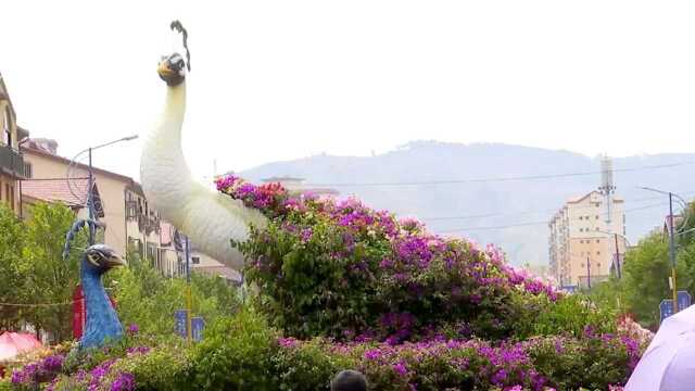 这里是宜良2019年花街节现场