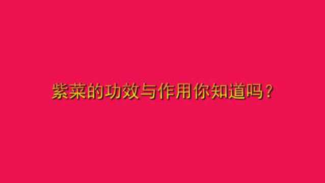 紫菜的功效与作用你知道吗?