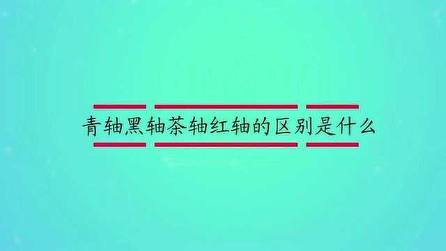 青轴黑轴茶轴红轴的区别是什么?