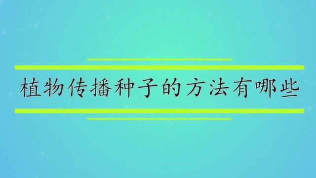 植物传播种子的方法有哪些