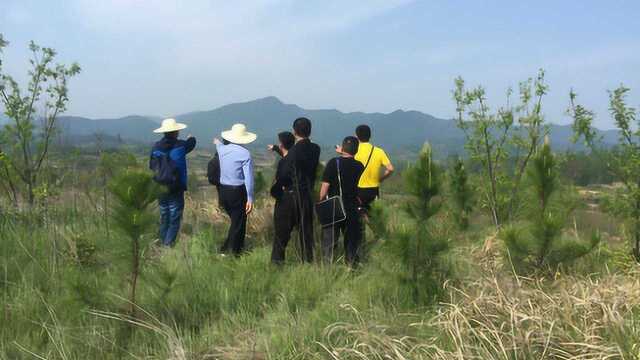 一等风水宝地发丁十万,徐氏葬祖坟风水出将军太师,这里风水到底有何玄机?