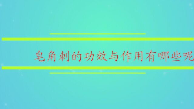 皂角刺的功效与作用有哪些呢