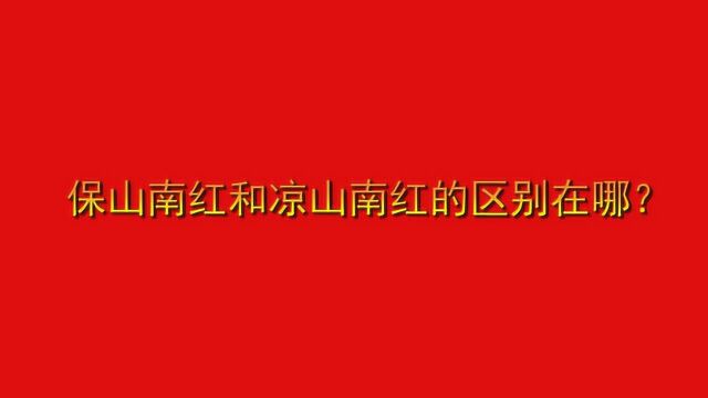 保山南红和凉山南红的区别在哪?