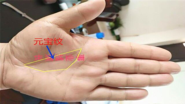 女人右手掌纹有个元宝,这是标准的元宝纹,有望嫁豪门的特征!