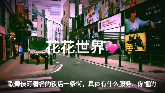 歌舞伎町:日本著名的夜店一条街