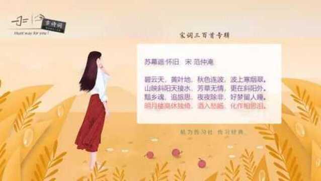 宋词三百首:苏幕遮怀旧(范仲淹)