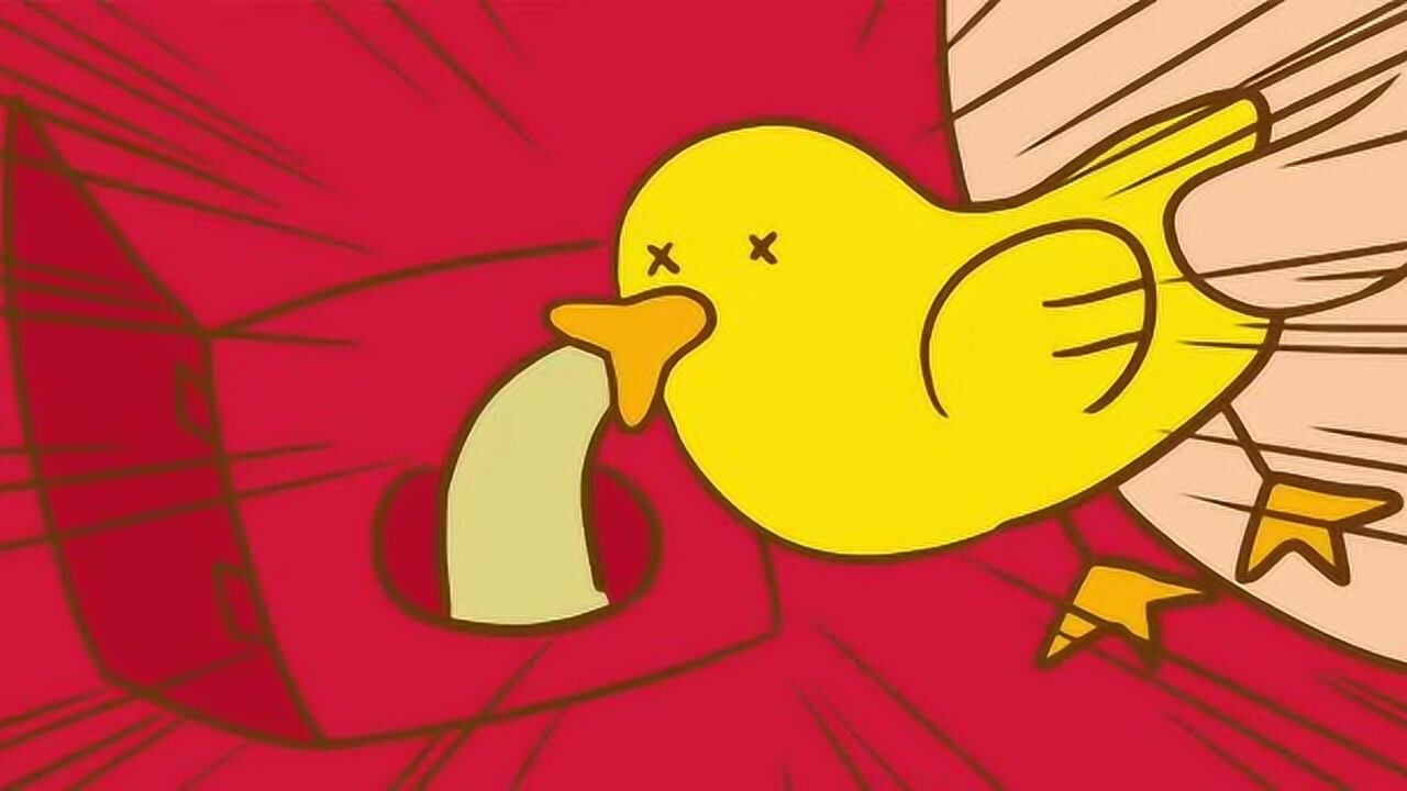 又是元气满满的一天,今天也是只精神抖擞的加油鸭