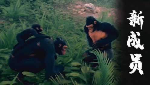 狒狒模拟器：发现了一个野生猴，驯化成自己的小弟，并学会了插鱼