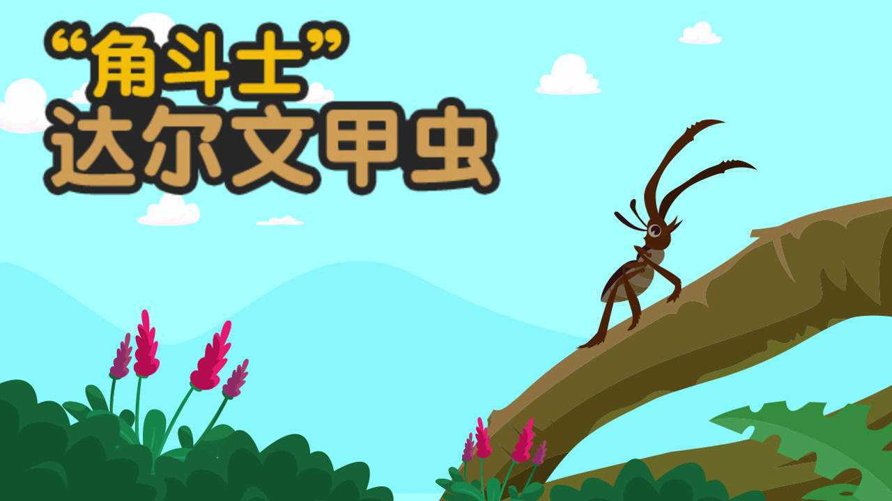 第05集角斗士达尔文甲虫