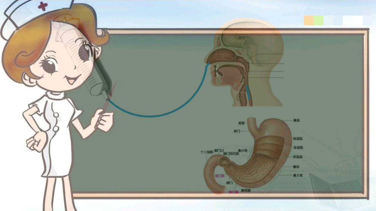 鼻饲法的健康教育_高清1080P在线观看平台_腾讯视频