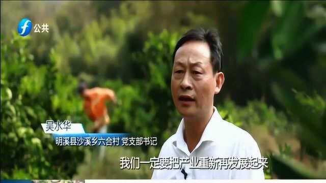 明溪的荒山变成果园 村民们又有新收益 这一切都离不开他