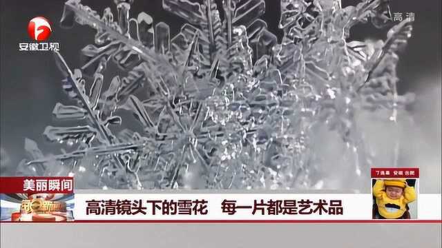 微距镜头下的雪花 晶莹剔透 原来雪花有这么多的形状