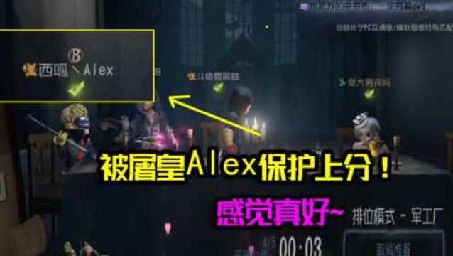 第五人格:被国服屠皇Alex保护上分!秒倒也能变四出?