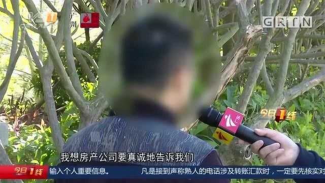 广州黄埔:“配套名校”迟迟未兑现?业主疑虚假宣传