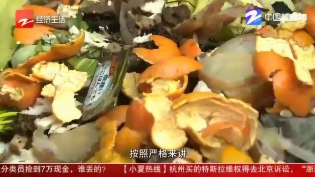 杭州垃圾分类实施四个月 不同老小区差别有点大