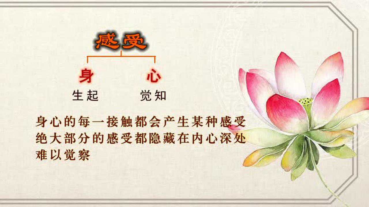 大念住经03 仁泽法师_腾讯视频