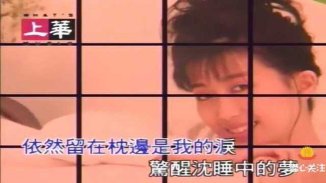 歌曲《红雨》孟庭苇