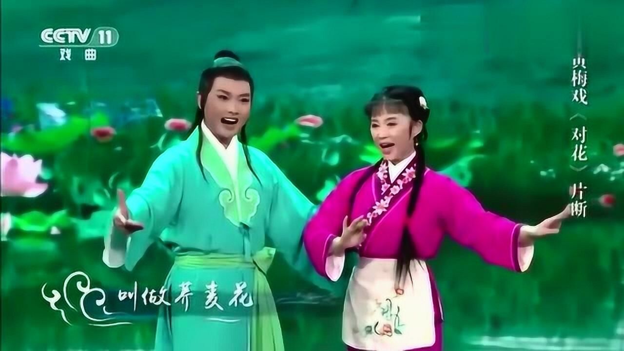 黄梅戏《对花》选段，人美唱戏也好听，简直绝配！_高清