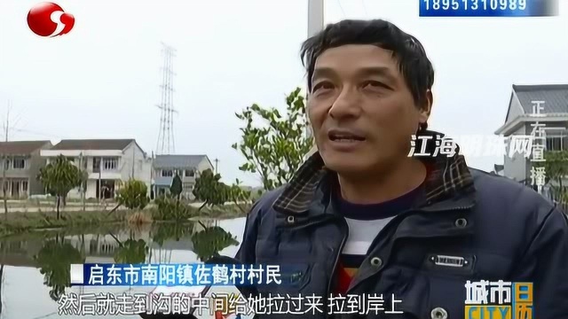 启东南阳暖心一幕:清晨落水命悬一线 合力施救转危为安