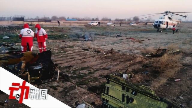 乌克兰载180人客机在伊朗坠毁 中国驻伊朗大使馆正核实情况