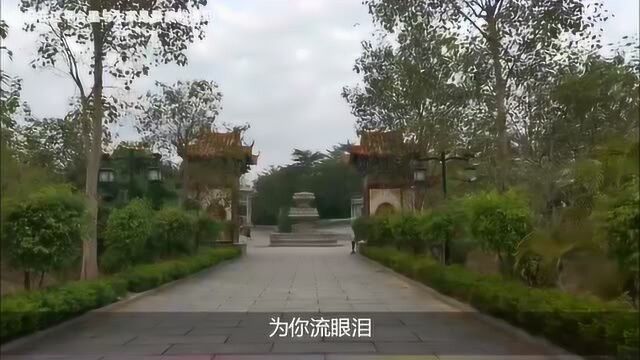 《最美的遇见》游龙岗龙园,清晨看公园风景