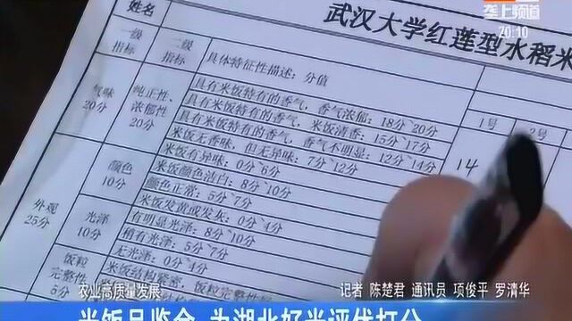 米饭品鉴会,为湖北好米评优打分