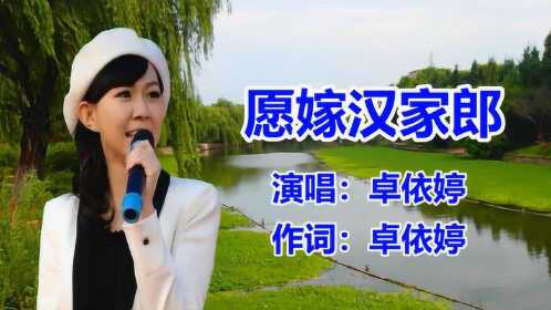 卓依婷愿嫁汉家郎经典老歌怀旧歌曲