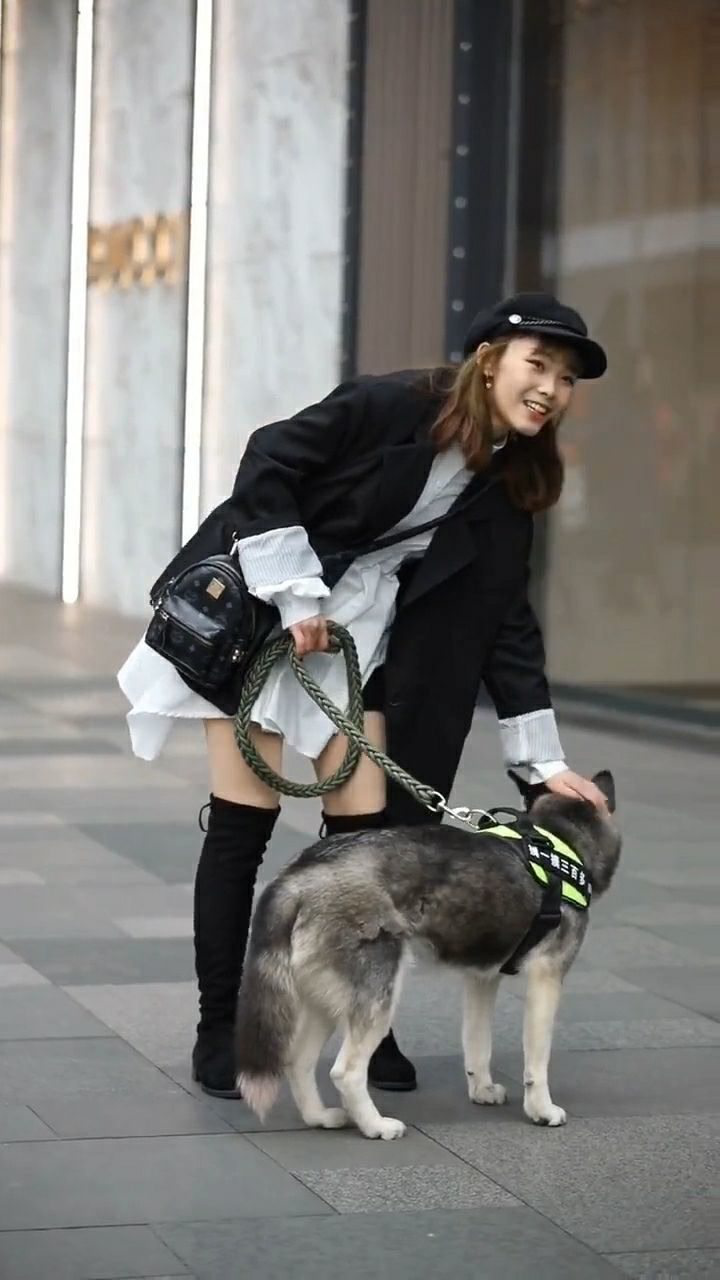 美女与宠物真的是绝配,五分颜值秒变七分