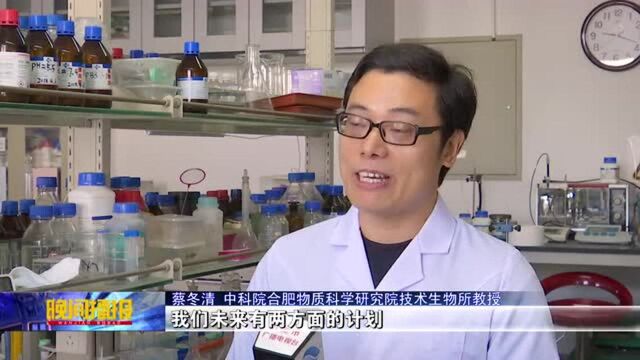 合肥科学岛研发新型纳米复合材料 消除“猪排放”污染!