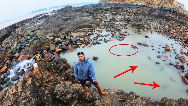 大熊兄弟大风浪天赶海抽水坑包公鱼长得太霸气抓到一条就爆桶