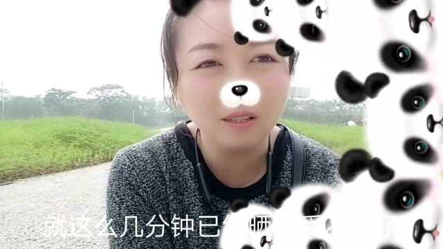 美啦美啦美啦,生态循环岛大变样