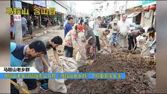 马鞍山含山县 一镇一拍!