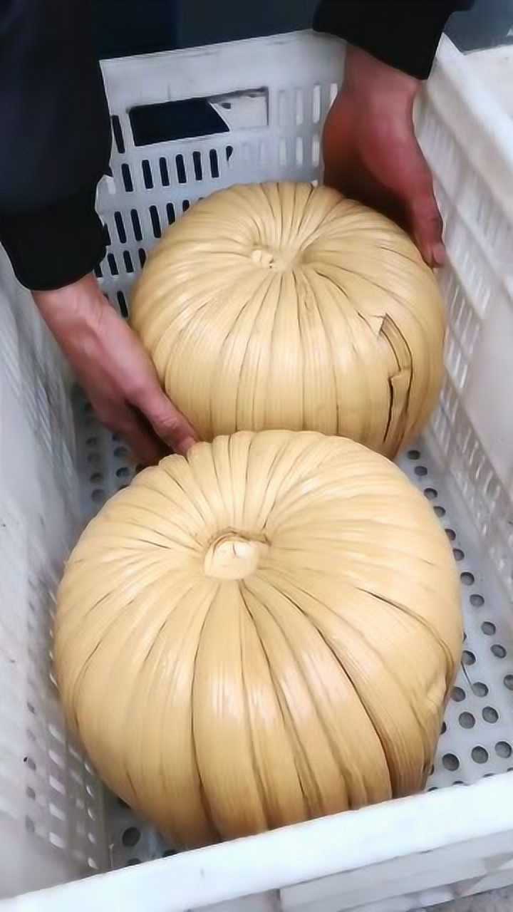 糖瓜你见过大的绝对没见过这么大的