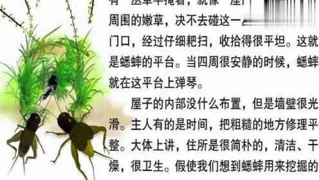 蟋蟀的住宅课文朗读,四年级第11课,快来学习一下吧!