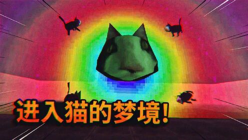 进入猫的梦境看看猫做梦是什么样子的薄海纸鱼解说