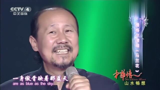 腾格尔演唱《马兰花》,没想到这首歌这么好听!