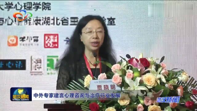 中外专家建言心理咨询与治疗行业发展