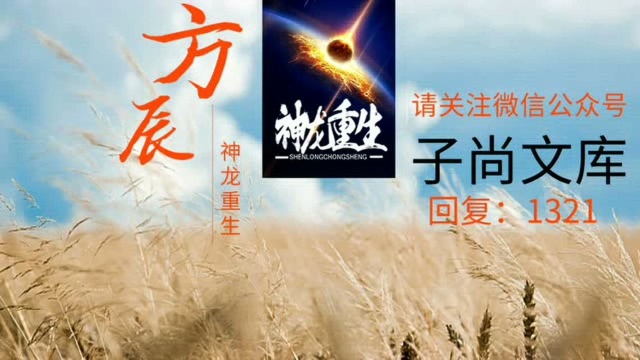 都市龙帝方辰全文阅读