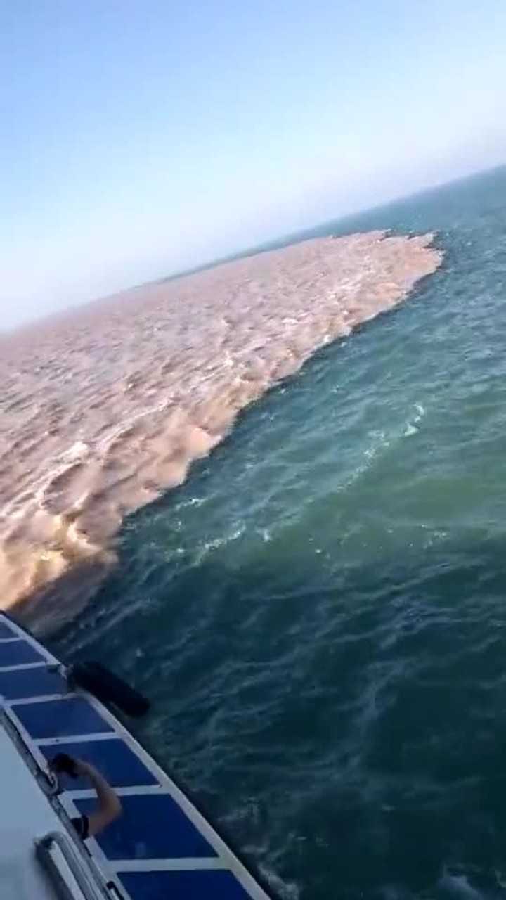 白日依山尽黄河入海流一个字壮观