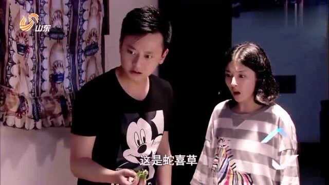 女孩被蛇咬到原来不是意外!只因在她的衣服中出现了蛇喜草!