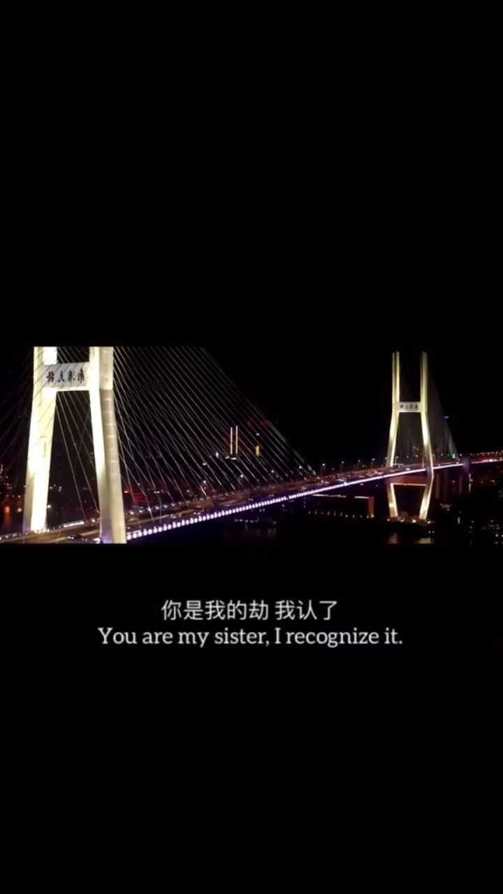 你是我的劫我认了也许是我上辈子欠你的