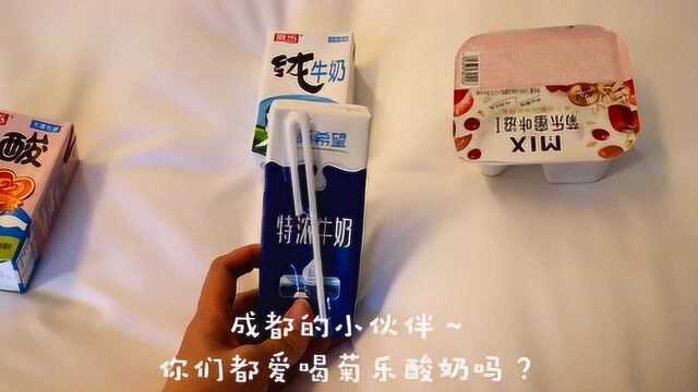 北京大妞出差成都第一件事就是买菊乐酸奶,成都的小伙伴都爱喝吗?