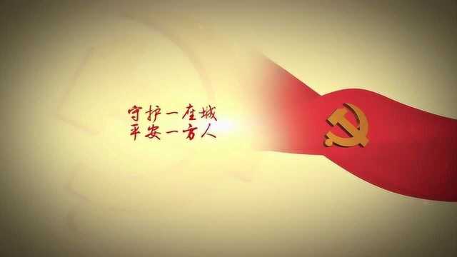 党徽闪亮——洪河农场