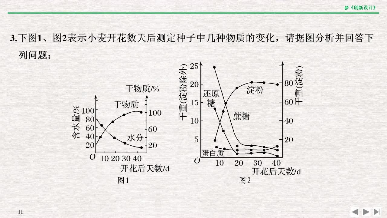 复习探究种子形成与萌发过程中的物质变化高二生物0220