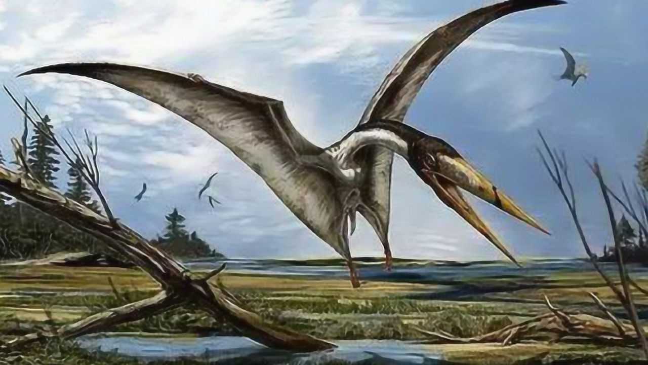远古时期的"天空之王",风神翼龙到底有多厉害?